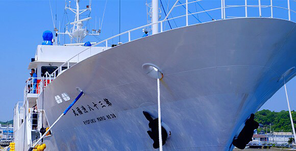 地元まぐろ船との協業